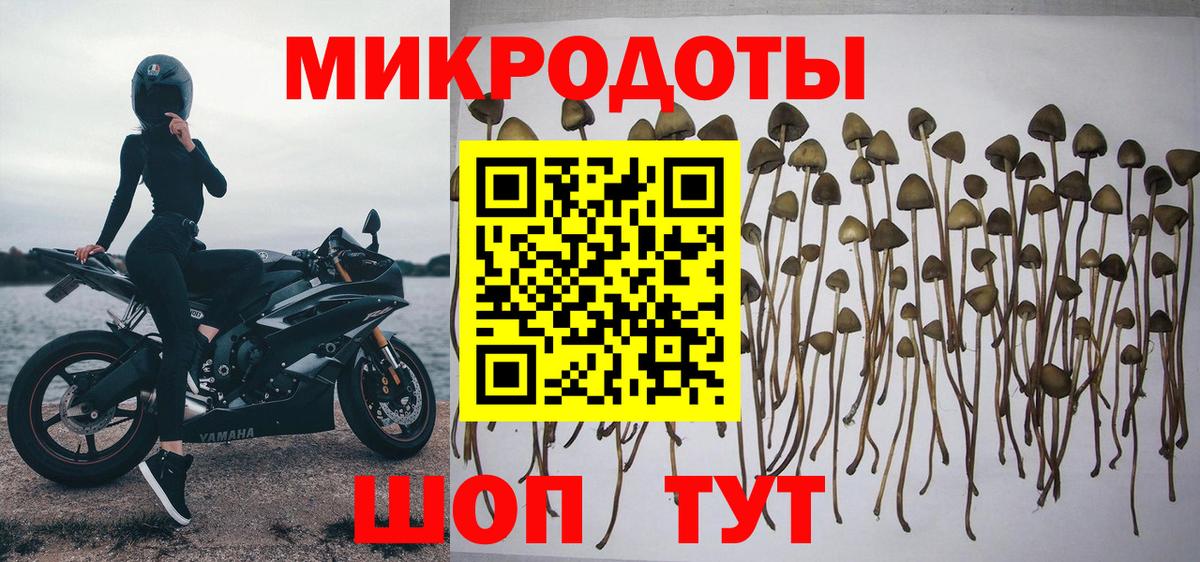 Галлюциногенные грибы Magic Shrooms Ревда