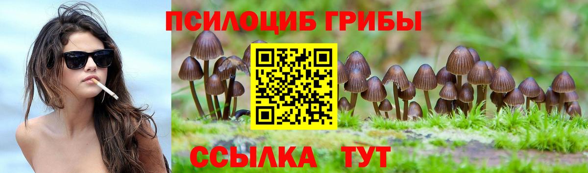 Псилоцибиновые грибы Psilocybine cubensis  купить наркоту  Галлюциногенные грибы Magic Shrooms  Ревда  Вход с VPN 